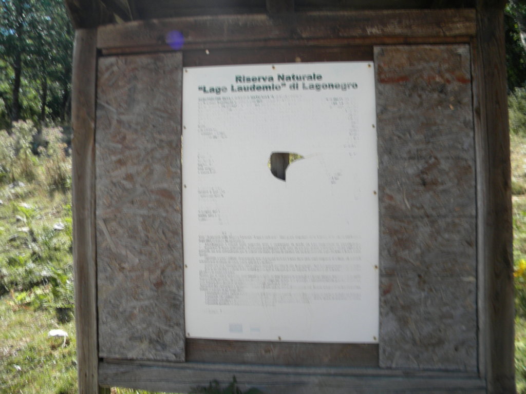 DSCN2750 .JPG